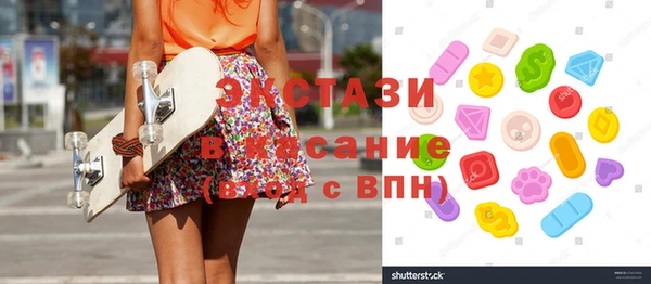 индика Гусев