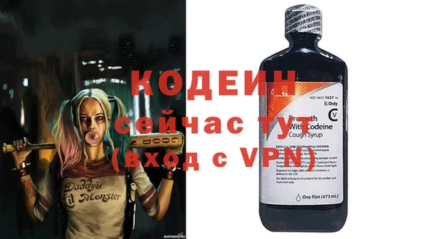 индика Гусев