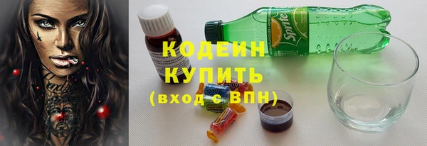 ECSTASY Гусь-Хрустальный