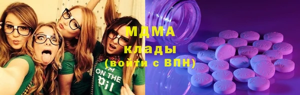 ECSTASY Гусь-Хрустальный