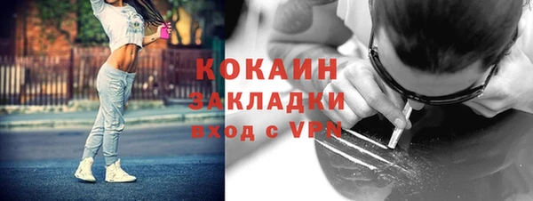 индика Гусев