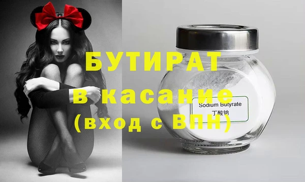 индика Гусев