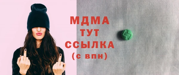 индика Гусев