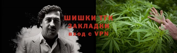 ECSTASY Гусь-Хрустальный
