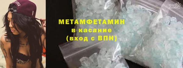 индика Гусев