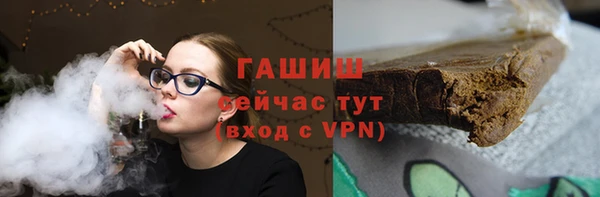 индика Гусев