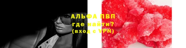 индика Гусев