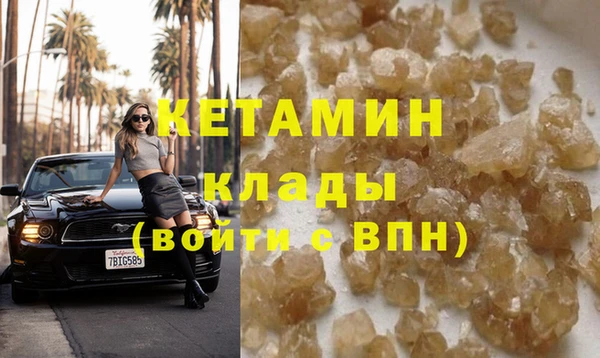 индика Гусев