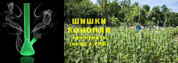 индика Гусев