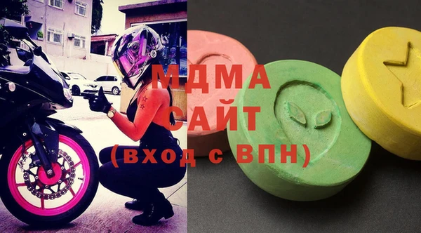 индика Гусев