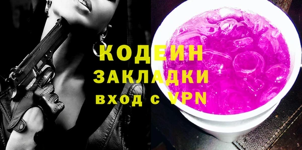 индика Гусев