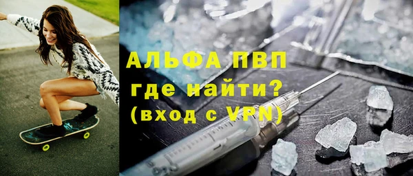 ECSTASY Гусь-Хрустальный