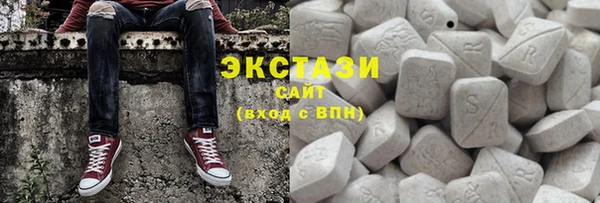 ECSTASY Гусь-Хрустальный