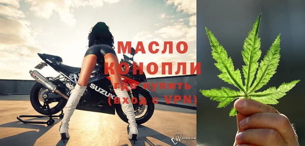 ECSTASY Гусь-Хрустальный