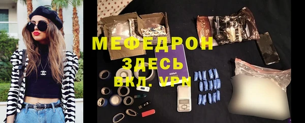 индика Гусев