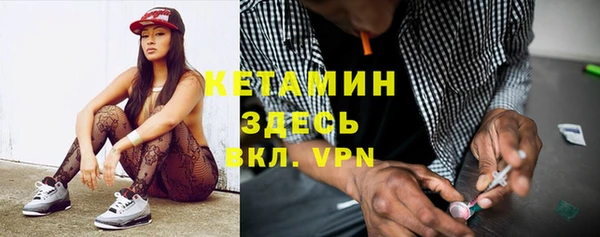 индика Гусев