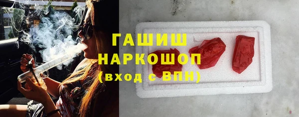индика Гусев
