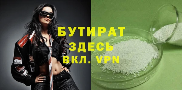 индика Гусев